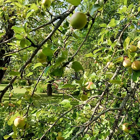 Tunnelmallinen Yksioe Kaupungin Laeheisyydessae Daire *